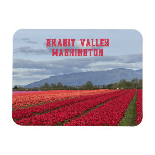 Skagit Valley Washington State Tulpenfeld Kühlschr Magnet
