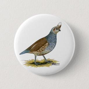 Skala Button