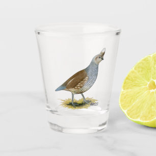 Skala Schnapsglas