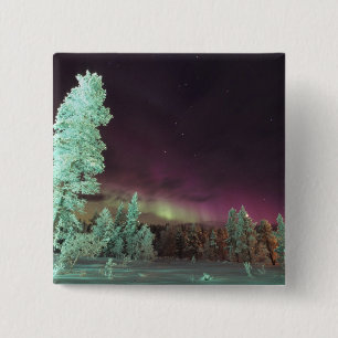 Skandinavien, Finnland, Lappland, Kakslauttanen, Button