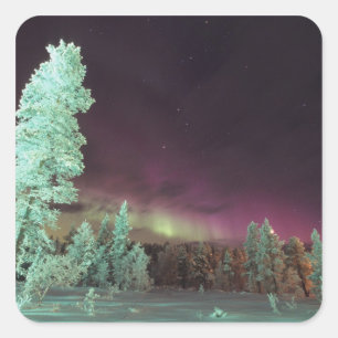 Skandinavien, Finnland, Lappland, Kakslauttanen, Quadratischer Aufkleber