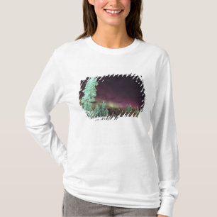 Skandinavien, Finnland, Lappland, Kakslauttanen, T-Shirt