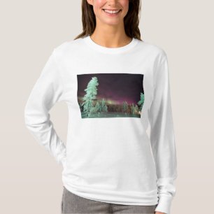 Skandinavien, Finnland, Lappland, Kakslauttanen, T-Shirt