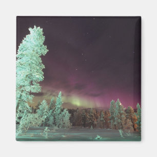 Skandinavien, Finnland, Lappland, Magnet