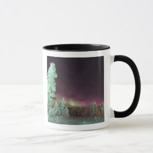 Skandinavien, Finnland, Lappland, Tasse
