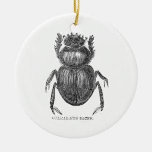 Skarabäus Käfer Vintage Zeichnung mit Feder und Ti Keramikornament