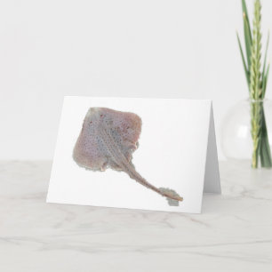 Skate-Note-Karte Karte