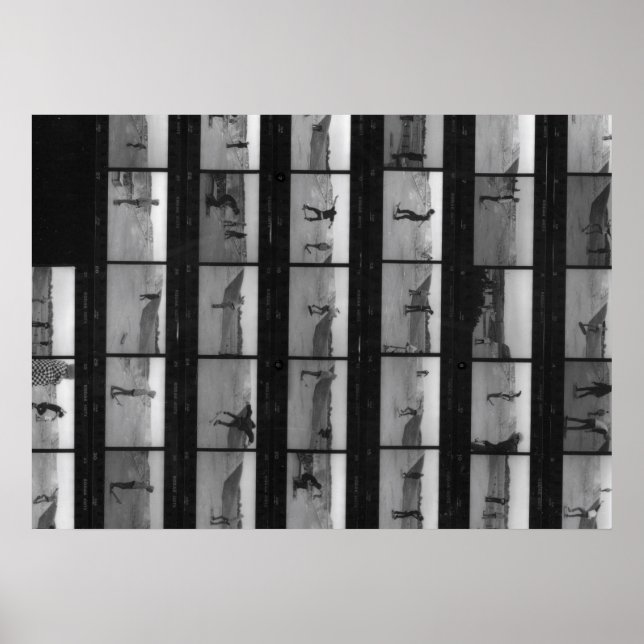 Skate! Poster (Vorne)