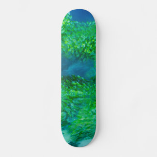 Skateboard