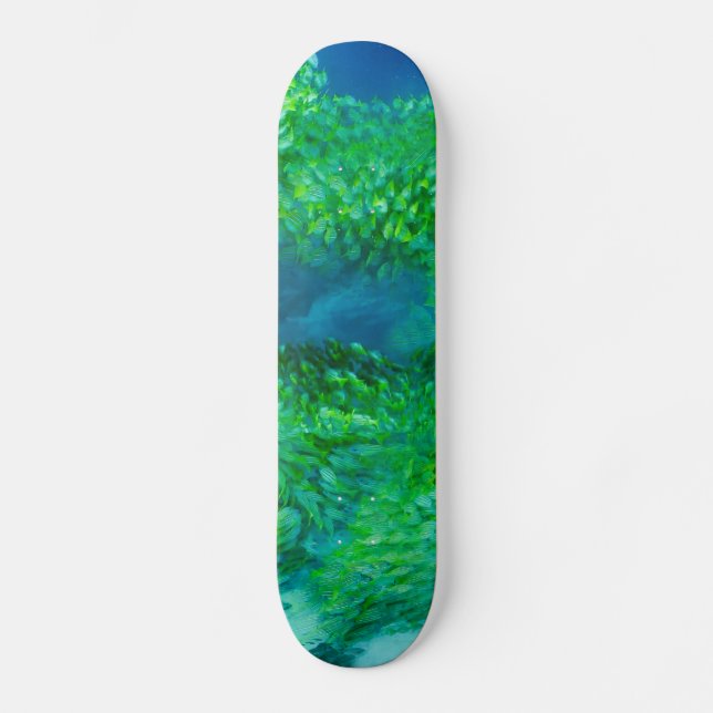 Skateboard (Vorderseite)