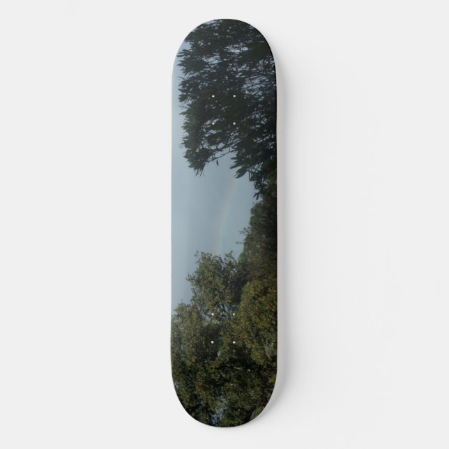 Skateboard (Vorderseite)