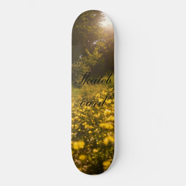 Skateboard (Vorderseite)