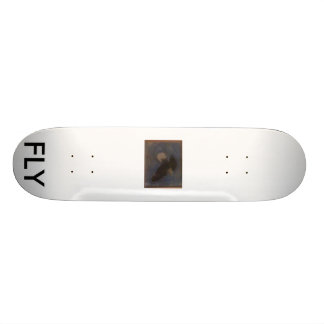 SKATEBOARD 258, MOUCHE