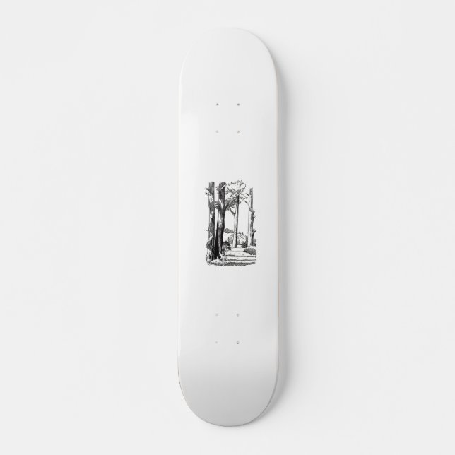 Skateboard à l'ombre des bois (Devant)