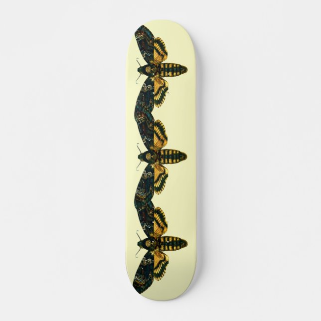 Skateboard Acherontia atropos (Devant)