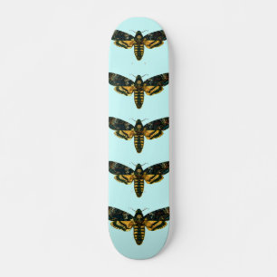 Skateboard Acherontia atropos (Moelle Hawkmoth de la tête de