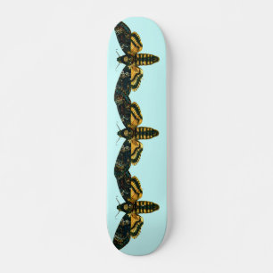 Skateboard Acherontia atropos (Moelle Hawkmoth de la tête de
