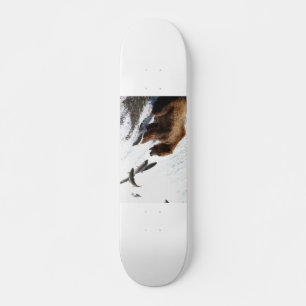 Skateboard Alaska