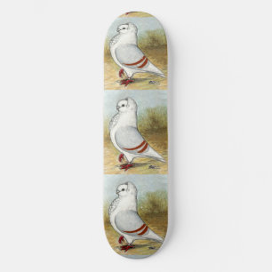 Skateboard Ancien hibou allemand Pigeon debout haute
