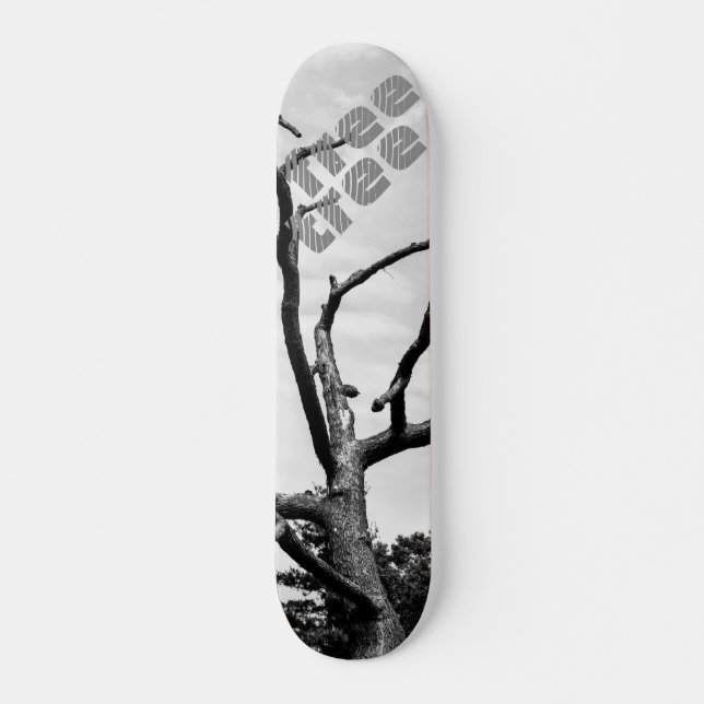 Skateboard arbre libre (Devant)