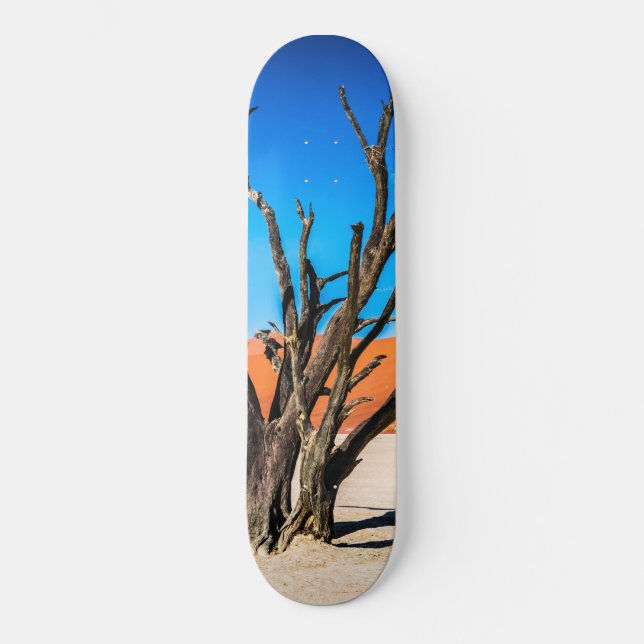 Skateboard Arbre mort à Deadvlei, Namibie (Recto)