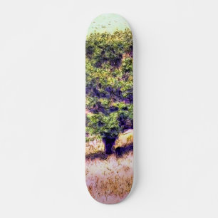 SKATEBOARD ARBRES