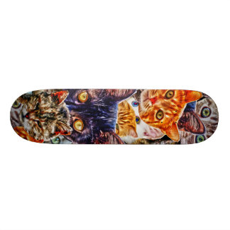 Skateboard Art du chat