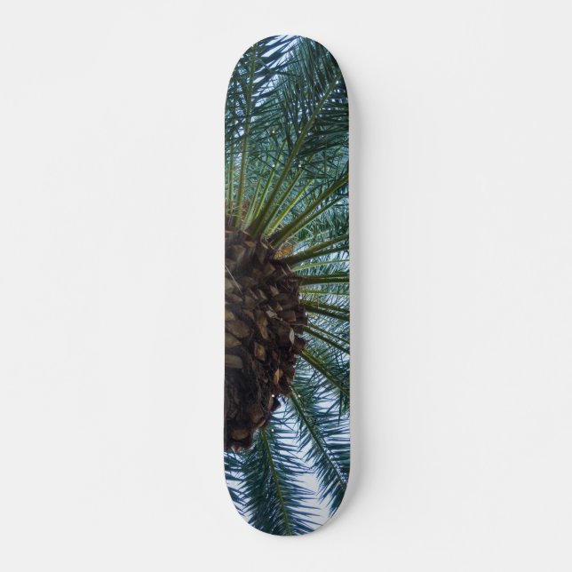 Skateboard Art Du Palmier (Devant)