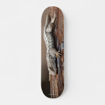Skateboard avec lézard