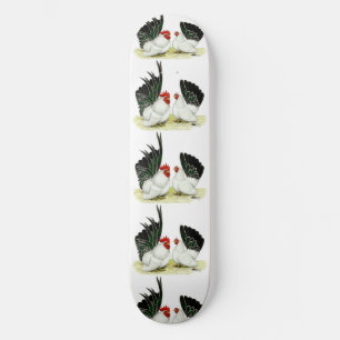 Skateboard Bantams japonais Blacktail