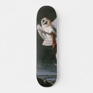 Skateboard Barn Owls, Birds of America John James Audubon