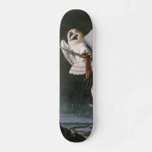 Skateboard Barn Owls, les oiseaux d'Amérique John James Audu