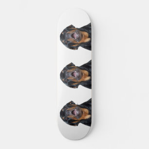 Skateboard Barre à roulettes