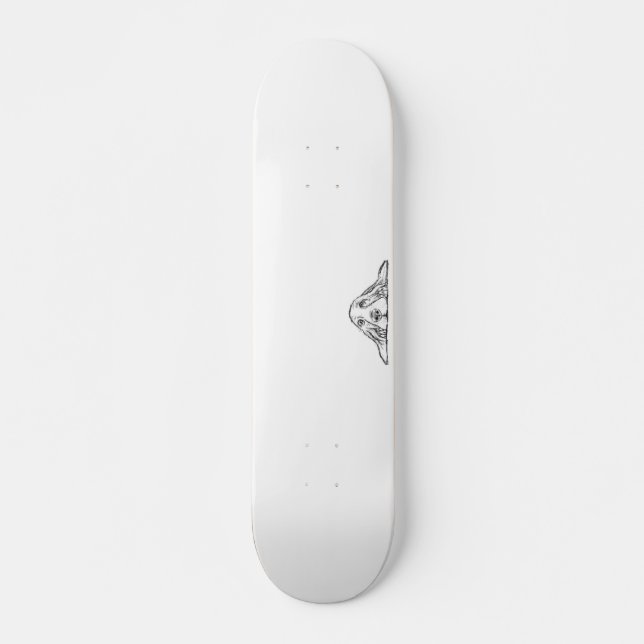Skateboard basset blanc (Devant)