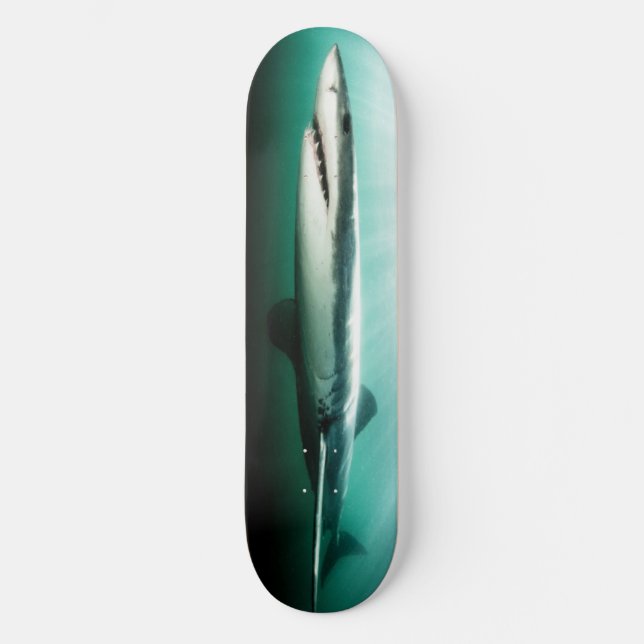 Skateboard BEAUTIFUL Shark Predator. (Recto)