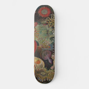Skateboard Beaux ponts - Merveilles de la mer - Actiniae Skat