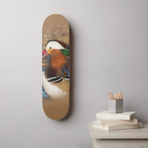 Skateboard Belle Chatty Mandarin Canard sur les rochers