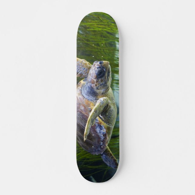 Skateboard Belle natation de tortue marine (Devant)