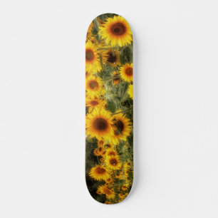 Skateboard Belle photo sur le terrain de tournesol