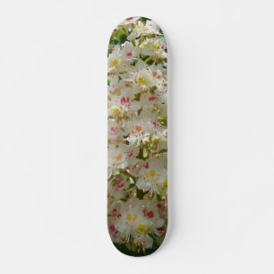 Skateboard Belle planche à roulettes