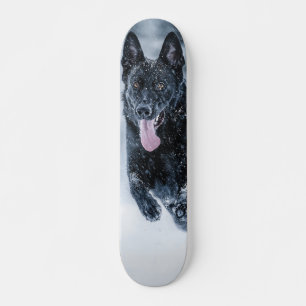 Skateboard Berger allemand noir dans la couverture de duvet d
