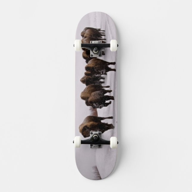 Skateboard Bison en hiver (Recto)