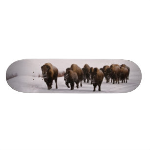 Skateboard Bison en hiver