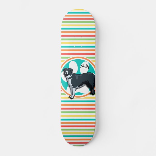 Skateboard Bordure Collie; Bright Rainbow Strips (Recto)