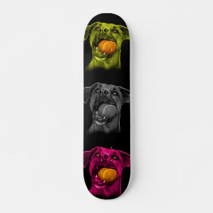 Skateboard boxer chien pop art 8173 bb