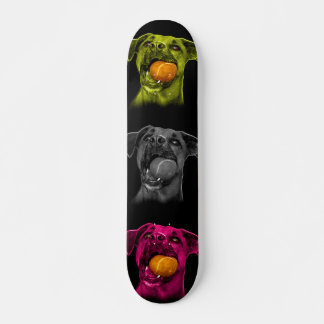 Skateboard boxer chien pop art 8173 bb