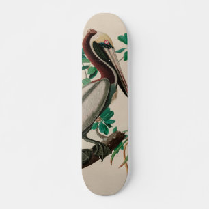 Skateboard Brown Pelican Birds of America Audubon Imprimer