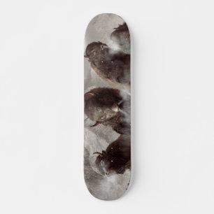 Skateboard Buffalo