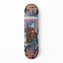 Buffalo Skate