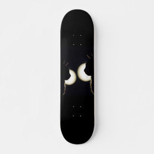 Skateboard Cambrioleurs Chats Repérés